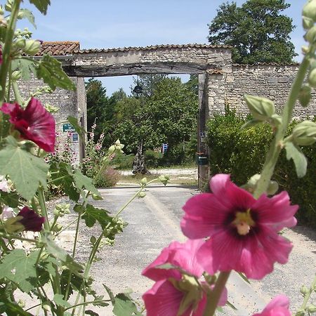 La Collegiale Otel Clavette Dış mekan fotoğraf